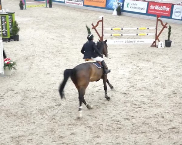 Reitturnier Oberriet 2020