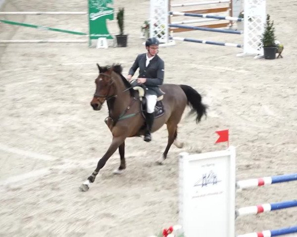 Reitturnier Oberriet 2020