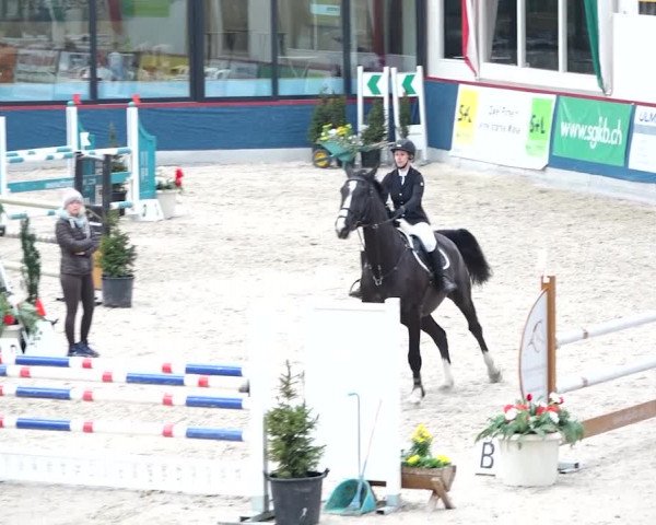 Reitturnier Oberriet 2020
