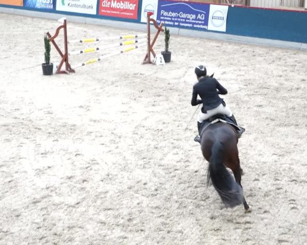 Reitturnier Oberriet 2020