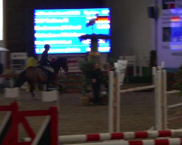 Reitturnier Warendorf-Freckenhorst 2020