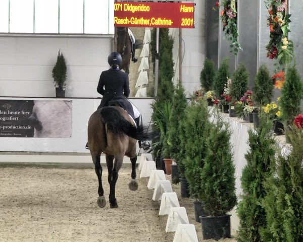 Reitturnier Karlsfeld/Obb. 2020