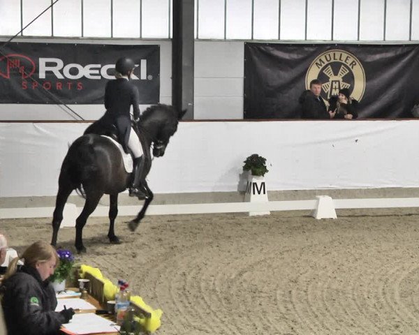Reitturnier Karlsfeld/Obb. 2020