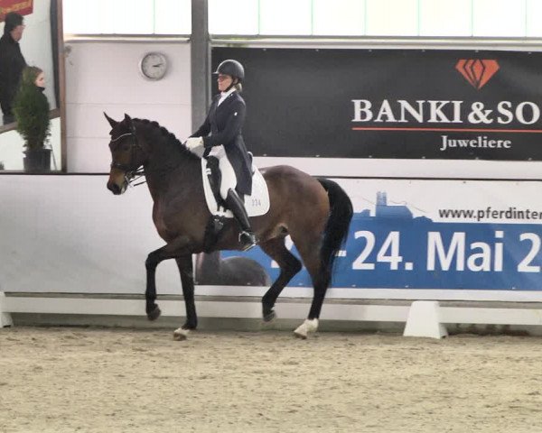 Reitturnier Karlsfeld/Obb. 2020