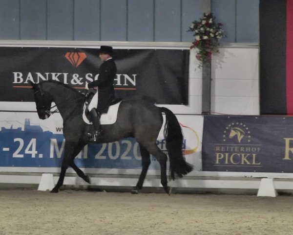 Reitturnier Karlsfeld/Obb. 2020