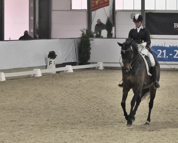 Reitturnier Karlsfeld/Obb. 2020