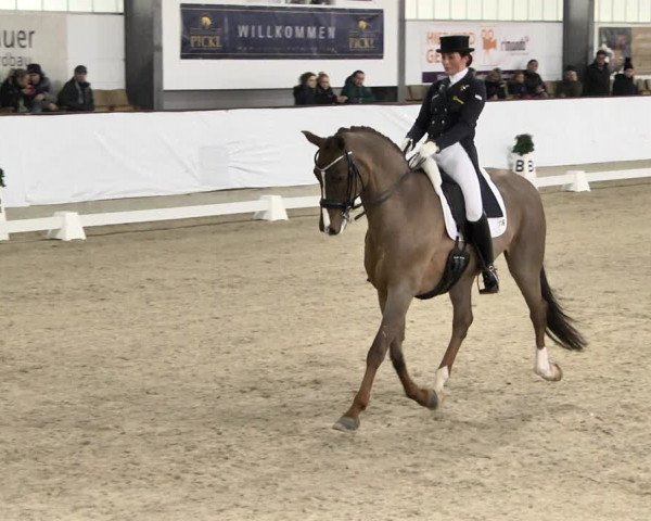 Reitturnier Karlsfeld/Obb. 2020