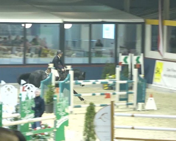Reitturnier Oberriet 2020