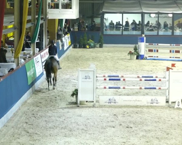 Reitturnier Oberriet 2020