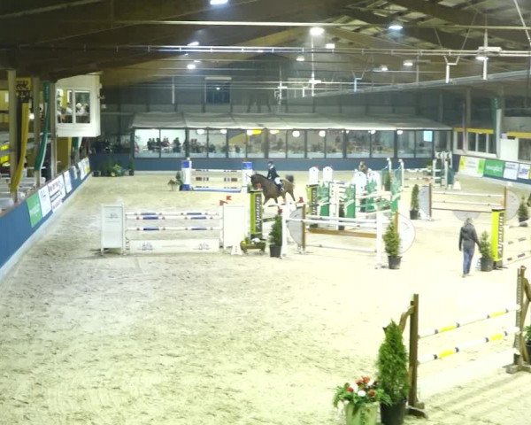 Reitturnier Oberriet 2020