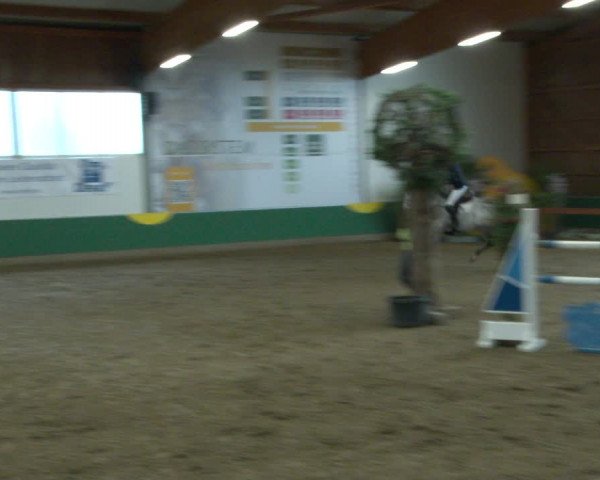 Reitturnier Warendorf-Freckenhorst 2020