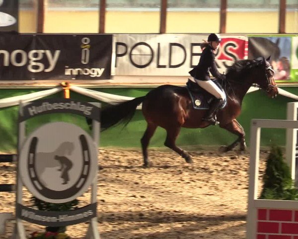 Reitturnier Keppeln - Reitanlage "Hötzenhof" 2020