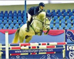 broodmare Cindenessa (Oldenburg show jumper, 2010, from Cornet's Stern)