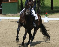 dressage horse Fire Dancer 3 (Hanoverian, 2005, from Florencio I)