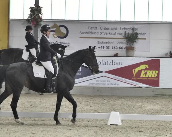 Reitturnier Karlsfeld/Obb. 2020