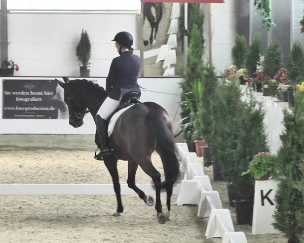 Reitturnier Karlsfeld/Obb. 2020