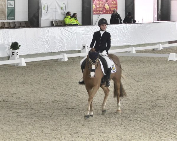 Reitturnier Karlsfeld/Obb. 2020