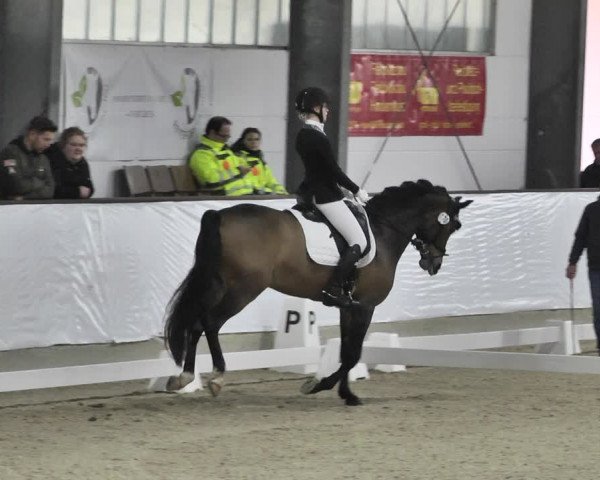 Reitturnier Karlsfeld/Obb. 2020