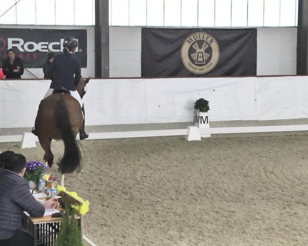 Reitturnier Karlsfeld/Obb. 2020