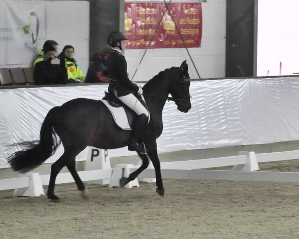Reitturnier Karlsfeld/Obb. 2020