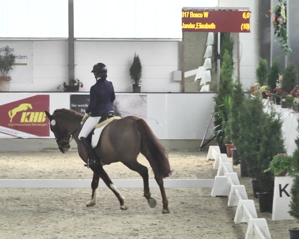 Reitturnier Karlsfeld/Obb. 2020