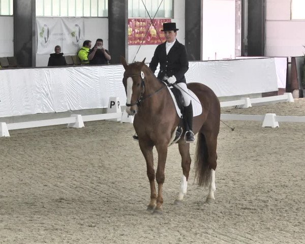Reitturnier Karlsfeld/Obb. 2020