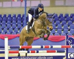 jumper Diara 20 (Oldenburg show jumper, 2009, from Diarado)