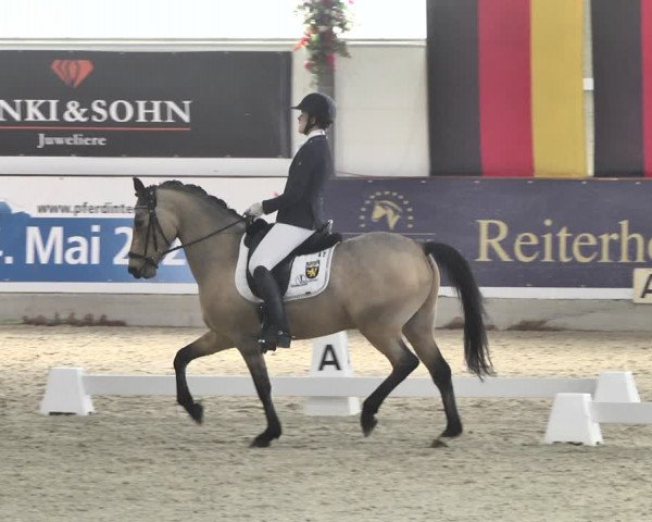 Reitturnier Karlsfeld/Obb. 2020
