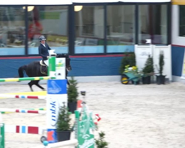 Reitturnier Oberriet 2020