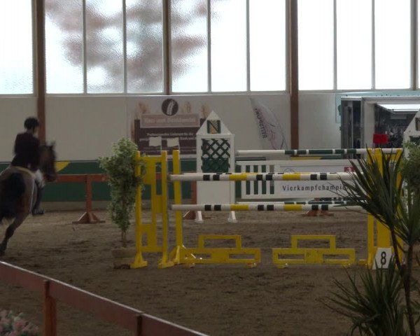 Reitturnier Warendorf-Freckenhorst 2020