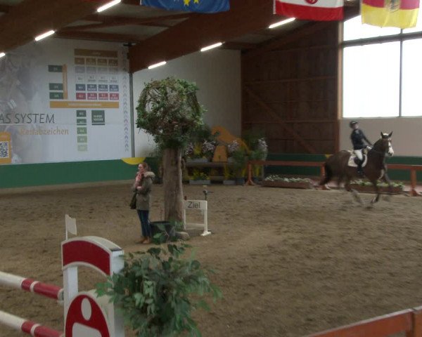 Reitturnier Warendorf-Freckenhorst 2020