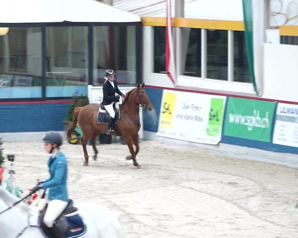 Reitturnier Oberriet 2020