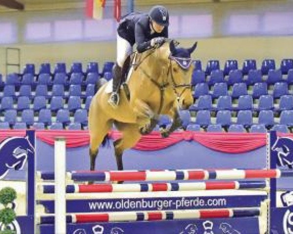jumper Fandango 263 (Oldenburg show jumper, 2009, from Flipper d'Elle)