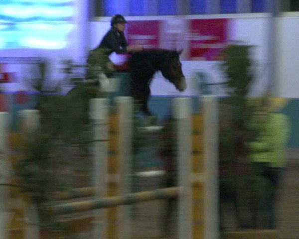 Reitturnier Warendorf-Freckenhorst 2020