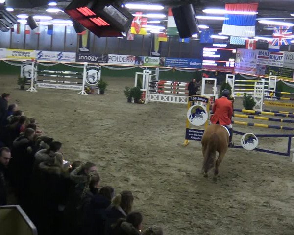 Reitturnier Keppeln - Reitanlage "Hötzenhof" 2020