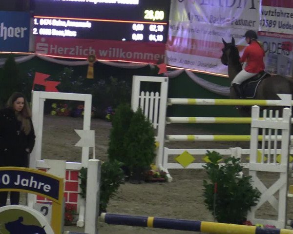 Reitturnier Keppeln - Reitanlage "Hötzenhof" 2020