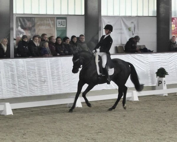 Reitturnier Karlsfeld/Obb. 2020