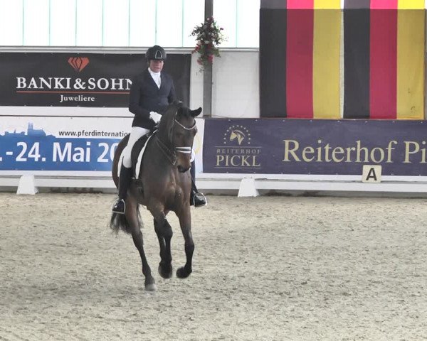 Reitturnier Karlsfeld/Obb. 2020