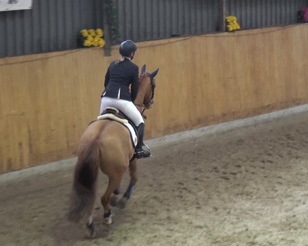 Reitturnier Monheim - Gut Blee 2020