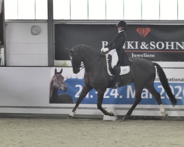 Reitturnier Karlsfeld/Obb. 2020