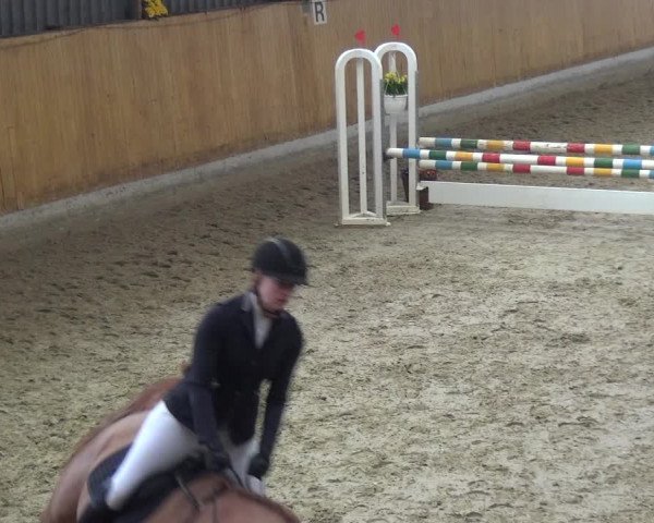 Reitturnier Monheim - Gut Blee 2020