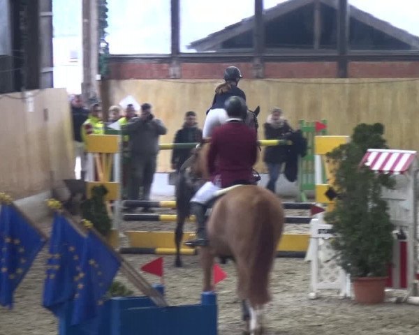 Reitturnier Monheim - Gut Blee 2020