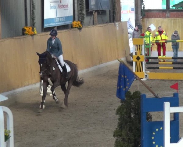 Reitturnier Monheim - Gut Blee 2020