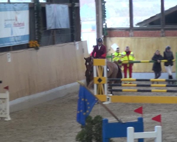 Reitturnier Monheim - Gut Blee 2020