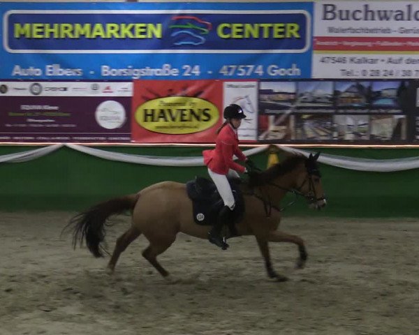 Reitturnier Keppeln - Reitanlage "Hötzenhof" 2020