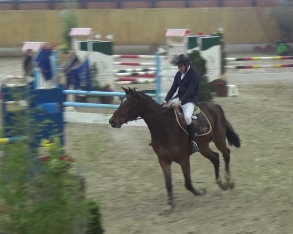 Reitturnier Monheim - Gut Blee 2020