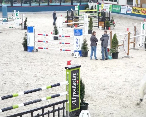 Reitturnier Oberriet 2020