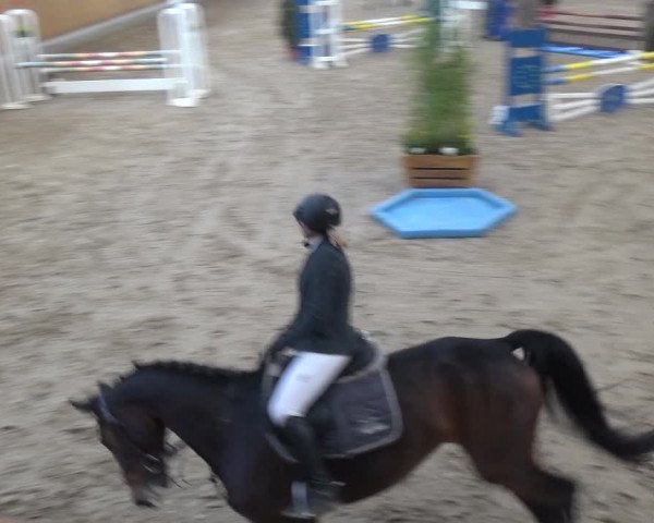 Reitturnier Monheim - Gut Blee 2020