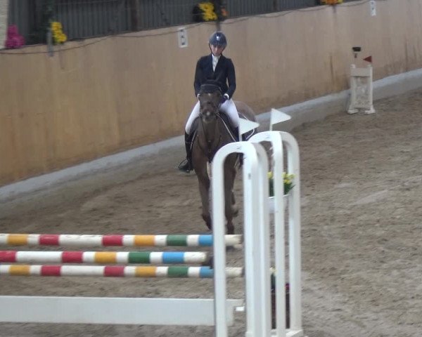 Reitturnier Monheim - Gut Blee 2020