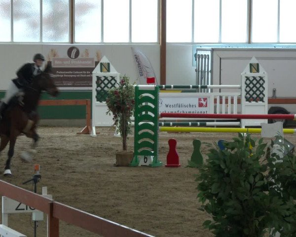 Reitturnier Warendorf-Freckenhorst 2020